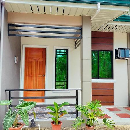 29 Palm'S Panglao Suites 外观 照片